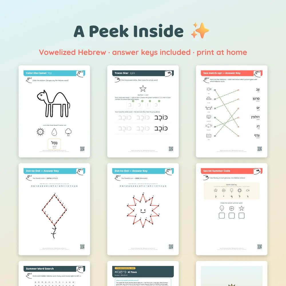 Fun Israeli Summer workbook — a look inside the workbook pages