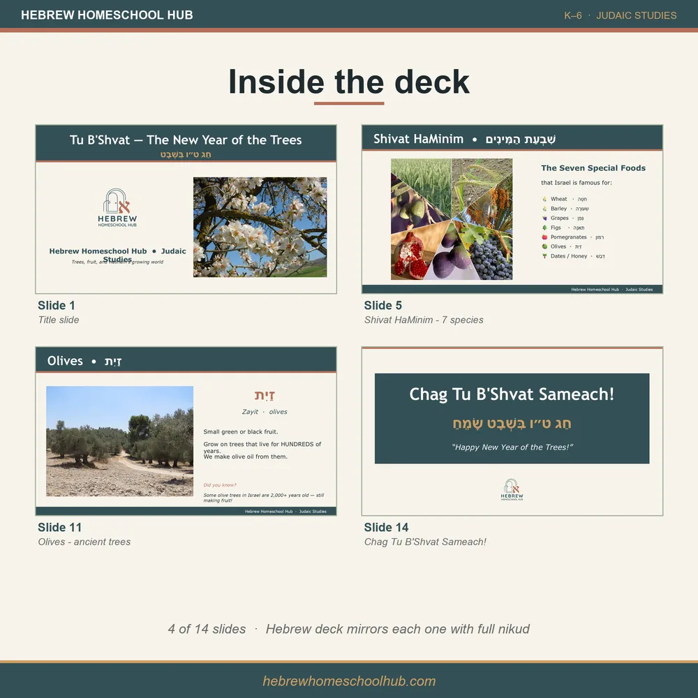 Tu B'Shvat lesson pack — a look inside the lesson slide deck